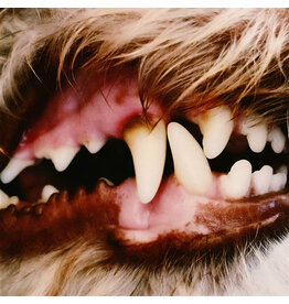 Concord Jazz (LP) Lucius - Lucius (Self-Titled) [Liquid Gold Eco-Mix Vinyl]