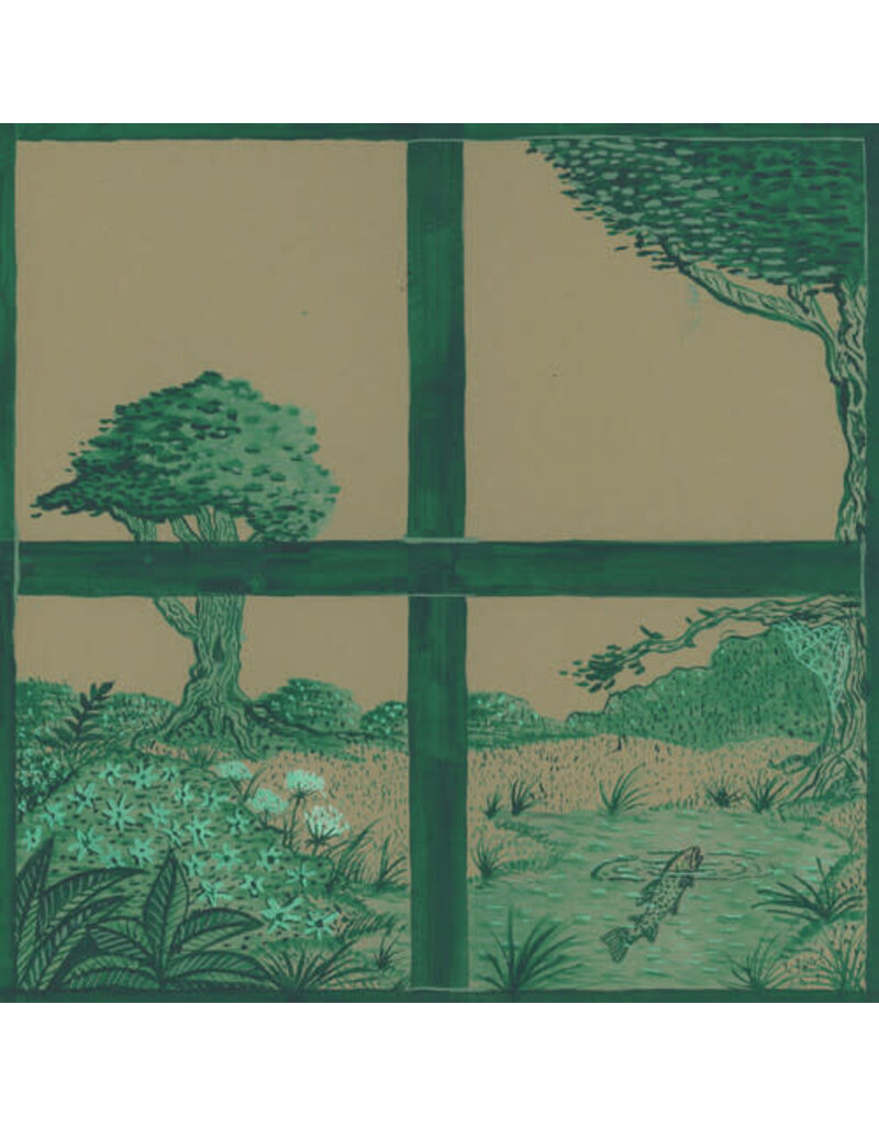 Transgressive (LP) David Longstreth (Dirty Projectors/Mount Eerie) - Song Of The Earth