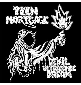 Road Runner (LP) Teen Mortgage - Devil Ultrasonic Dream