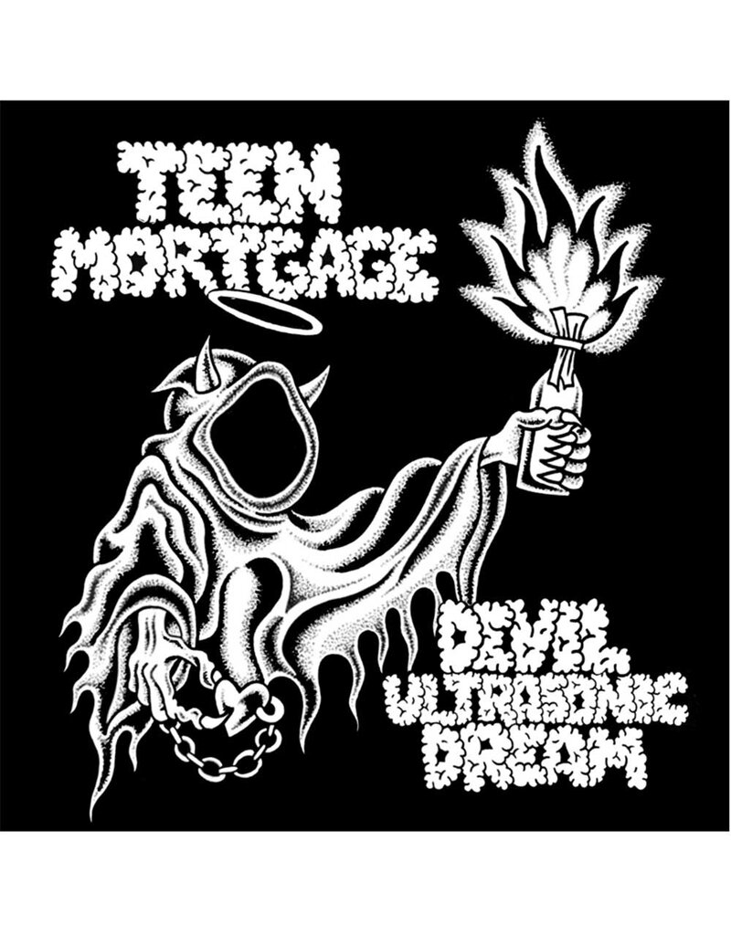 Road Runner (LP) Teen Mortgage - Devil Ultrasonic Dream