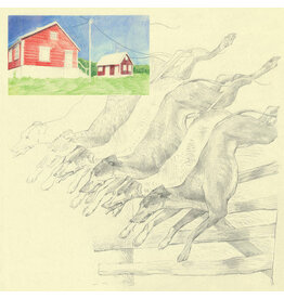 Ghostly International (LP) quickly, quickly - I Heard That Noise (Mint Green Vinyl)