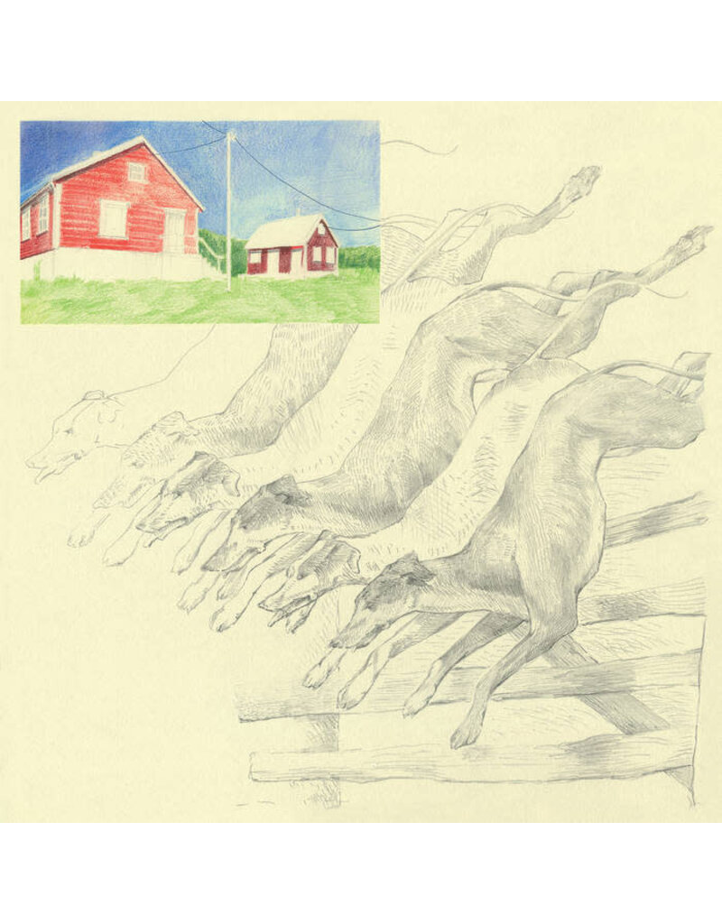 Ghostly International (LP) quickly, quickly - I Heard That Noise (Mint Green Vinyl)