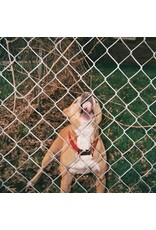 (LP) Knocked Loose - Pop Culture (EP) (Black, Red & Orange Aside/Bside Vinyl)