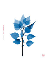 Concord (LP) Matt Berninger (The National) - Get Sunk (Indie Exclusive Translucent Blue Vinyl)