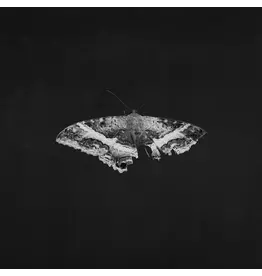(LP) Kendrick Lamar - To Pimp A Butterfly: 10th Anniversary Edition (Indie Exclusive Metallic Blended Vinyl) [2LP]