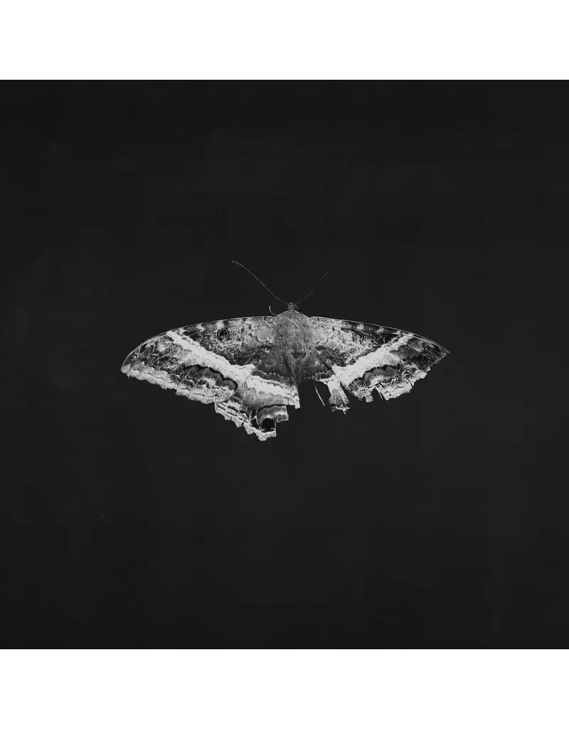 (LP) Kendrick Lamar - To Pimp A Butterfly: 10th Anniversary Edition (Indie Exclusive Metallic Blended Vinyl) [2LP]