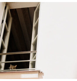 (CD) M(h)aol - Something Soft