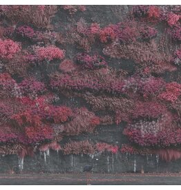 (LP) Sleep Token - Even In Arcadia (Standard Black Vinyl) (2LP)