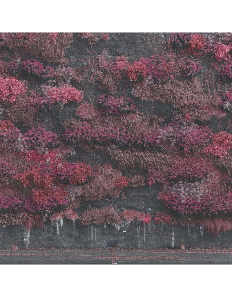 (CD) Sleep Token - Even In Arcadia