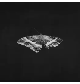 (LP) Kendrick Lamar - To Pimp A Butterfly: 10th Anniversary Edition (Standard Black Vinyl) [2LP]