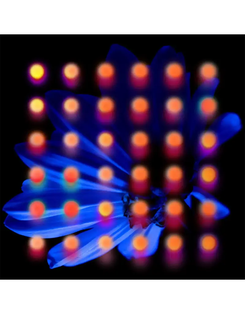 Equal Vision (LP) Anberlin - Nevertake