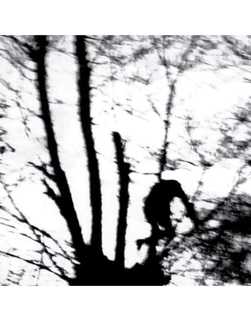 Dais (LP) Cindytalk - Camouflage Heart