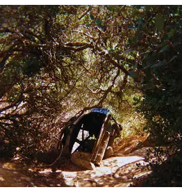 (LP) Ty Segall - Possession