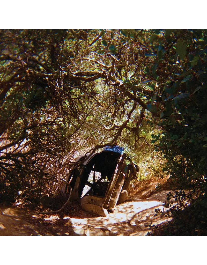 (CD) Ty Segall - Possession