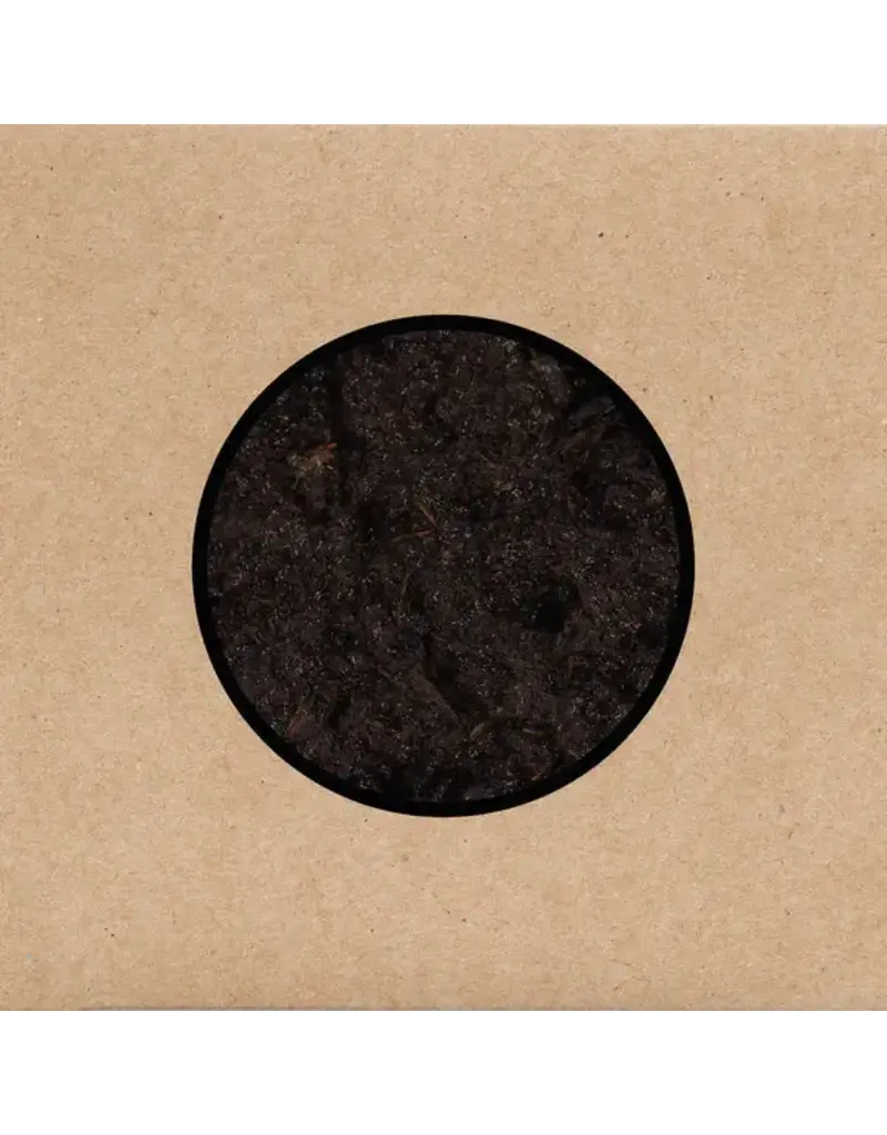 young god (CD) Swans - Birthing (2CD)