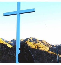 Peggy (LP) JPEGMAFIA	- I Lay Down My Life For You (Director's Cut) (2LP)