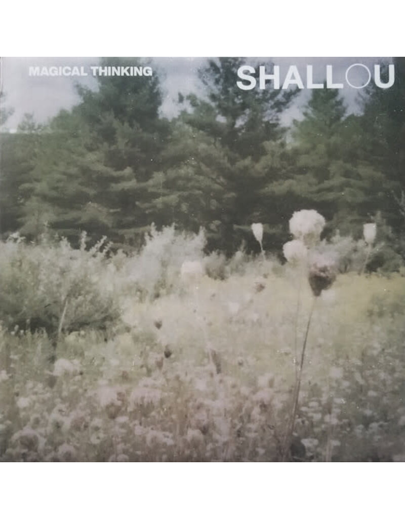 Island (LP) Shallou – Magical Thinking