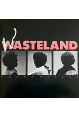 (LP) Brent Faiyaz - Wasteland (2LP)