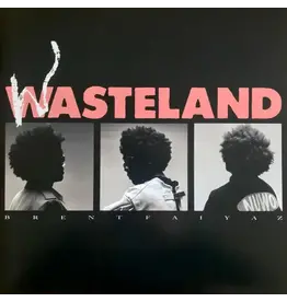(LP) Brent Faiyaz - Wasteland (2LP)