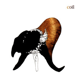 Dais (LP) Coil - Black Antlers (2LP Clear Vinyl)