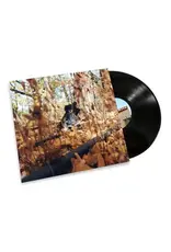 (LP) Billy Woods - Golliwog (2LP)