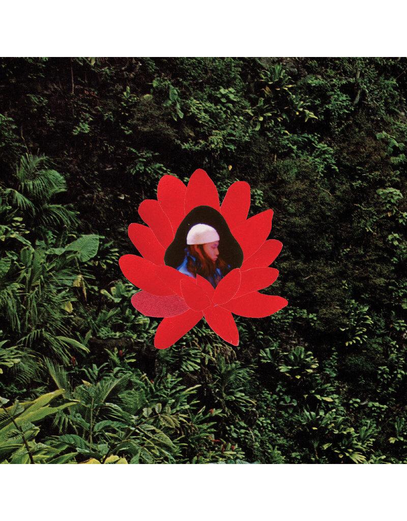 Stones Throw Records (LP) Lionmilk - When the Flowers Bloom