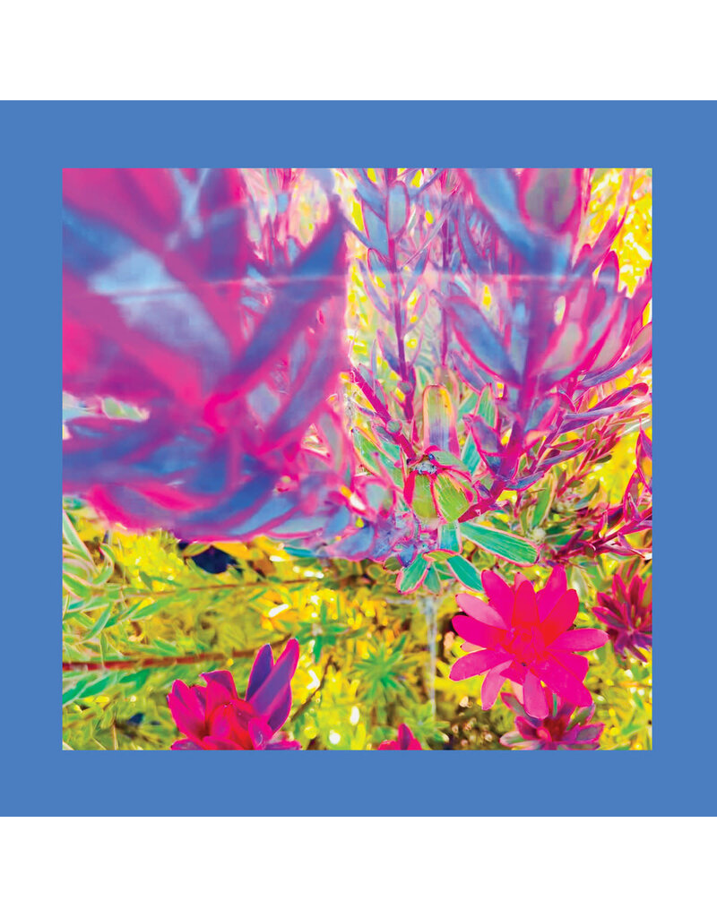 Fire (CD) Reds, Pinks And Purples - The Past Is A Garden I Never Fed