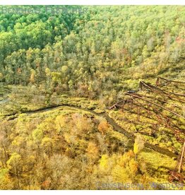 (LP) Bendigo Fletcher - Consensual Wisdom (Opaque Beige Vinyl)