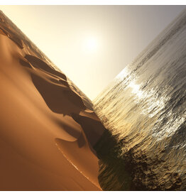 (LP) Mark Pritchard - Under The Sun (2025 Repress) (2LP)