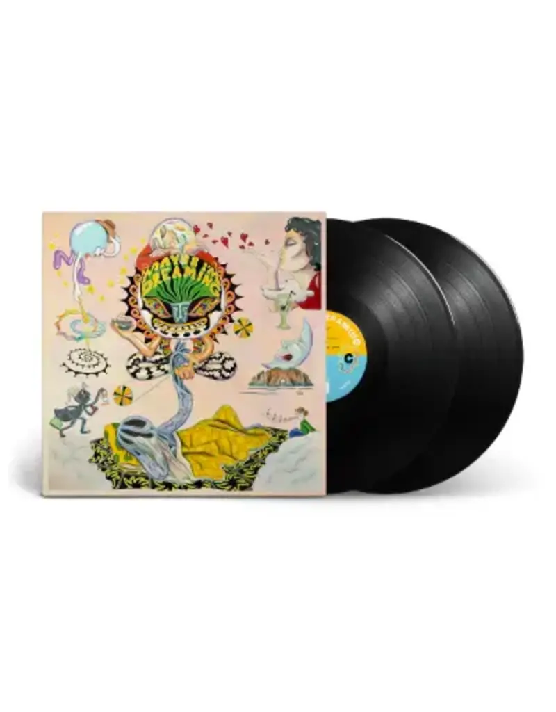 Anthology Recordings (LP) Various Artists - Maybe I'm Dreaming (2LP)