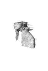 Parlophone UK (LP) Coldplay - A Rush Of Blood To The Head (Clear Eco-Vinyl) (2025 Reissue)