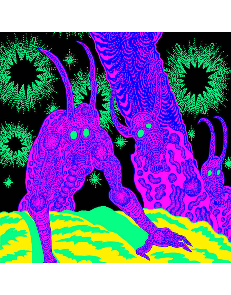 (LP) Osees - Abomination Revealed At Last (Coloured Vinyl)