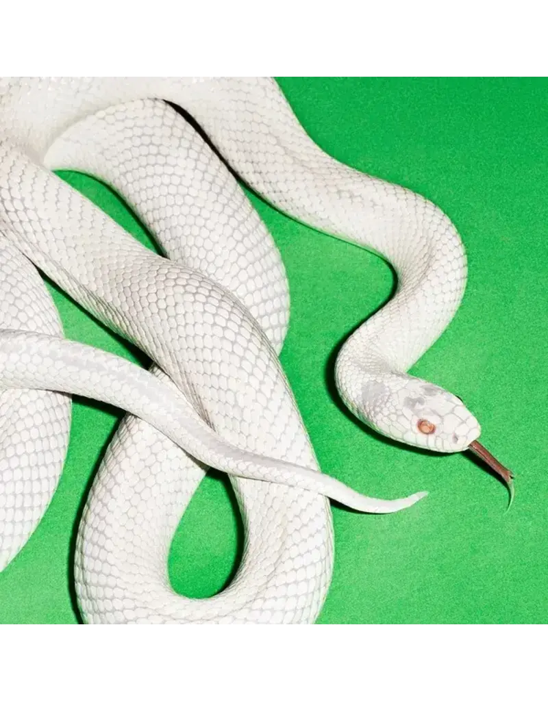 Reprise (LP) Deftones	- Private Music (Standard Clear Vinyl)