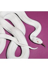 Reprise (LP) Deftones	- Private Music (Indie Exclusive Fog Vinyl)