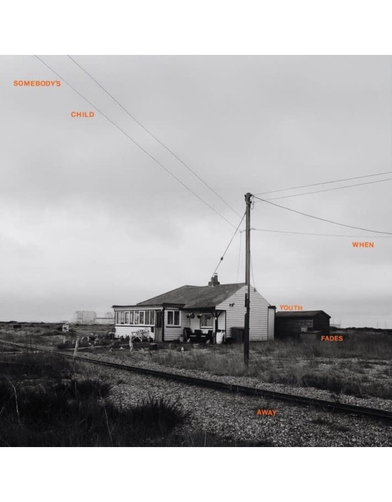 Frenchkiss Records (LP) Somebody's Child - When Youth Fades Away (Exclusive White Vinyl)