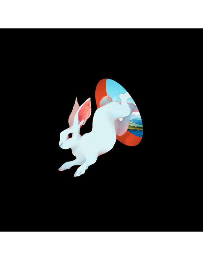 (LP) Ganser - Animal Hospital (Future Blue Vinyl)