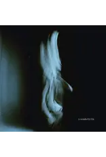 Virgin Records (LP) Tom Odell - Wonderful Life