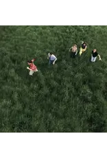 Virgin Records (LP) Parcels - Loved (Indie Exclusive Clear Blue Vinyl)