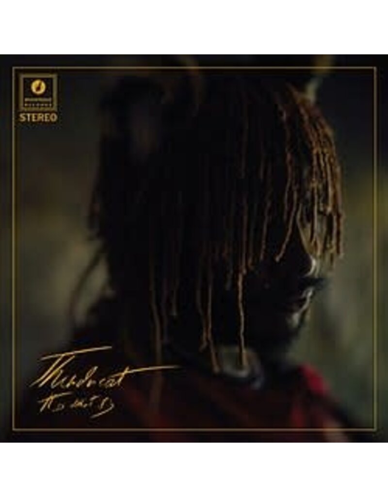 Brainfeeder (LP) Thundercat - It Is What It Is (Clear vinyl)