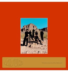 NETTWERK (LP) Leisure - Welcome To the Mood (Orange Vinyl)