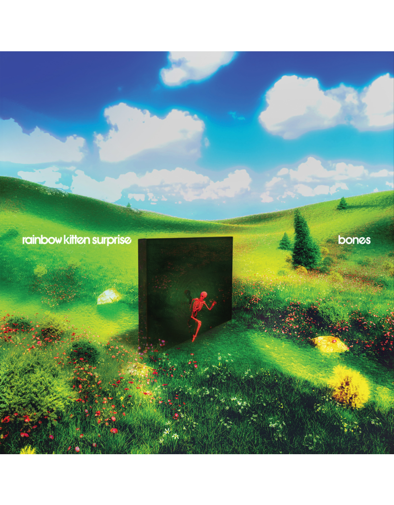 Atlantic (LP) Rainbow Kitten Surprise - Bones (Standard Black Vinyl)