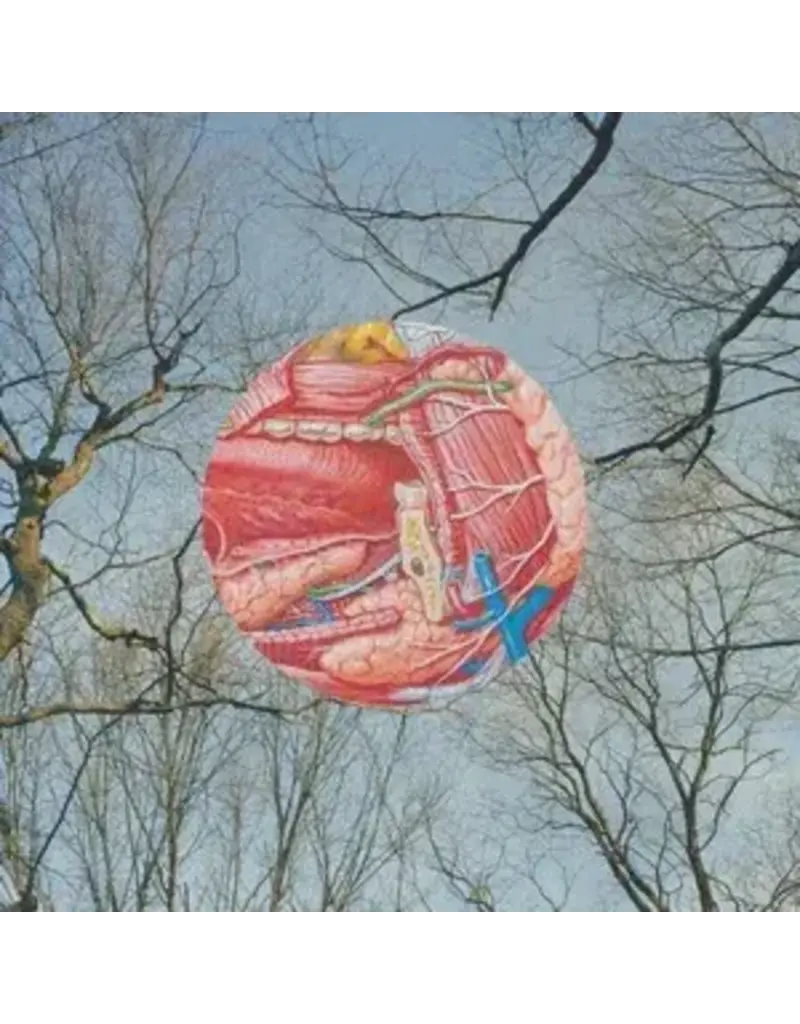 (LP) They Might Be Giants - Glean (Clear With Red Whisps Vinyl) (2025 Reissue)