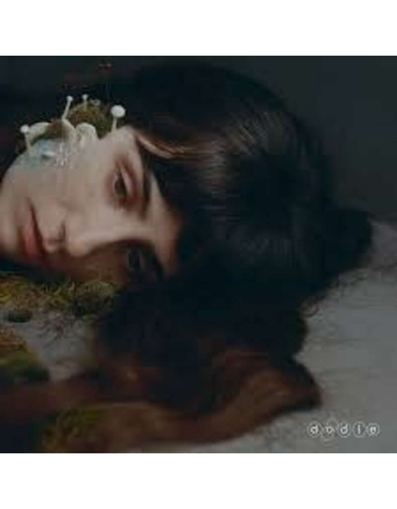 (CD) Dodie - Not For Lack Of Trying