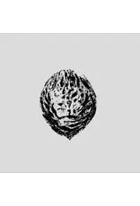 Fire (LP) Black Lips - Bebop Armageddon (Detours & Offcuts From Season Of The Peach) [Companion Album]
