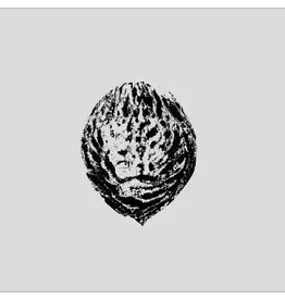 Fire (LP) Black Lips - Bebop Armageddon (Detours & Offcuts From Season Of The Peach) [Companion Album]