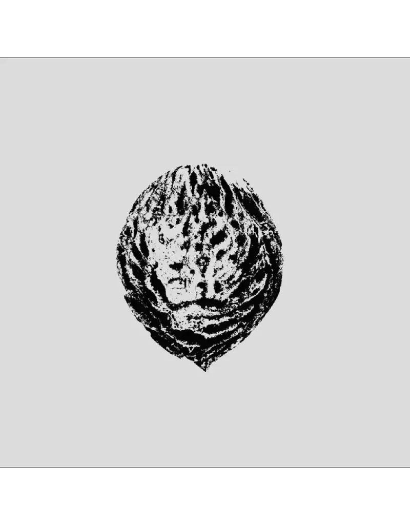 Fire (LP) Black Lips - Bebop Armageddon (Detours & Offcuts From Season Of The Peach) [Companion Album]