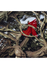 Fire Talk Records (CD) Hannah Frances - Nested in Tangles