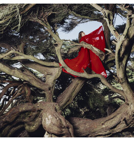 Fire Talk Records (CD) Hannah Frances - Nested in Tangles