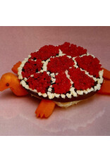 (LP) Sharp Pins (Lifegaurd) - Turtle Rock