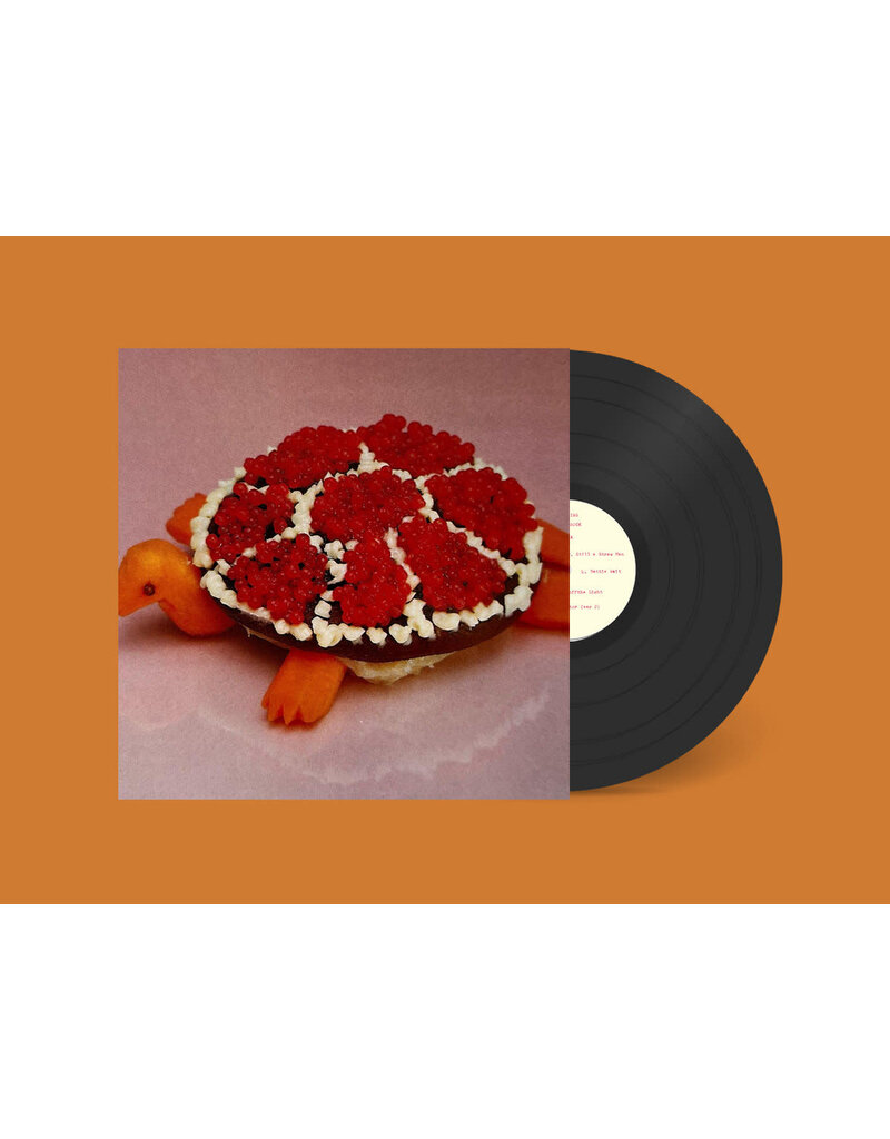 (LP) Sharp Pins (Lifegaurd) - Turtle Rock